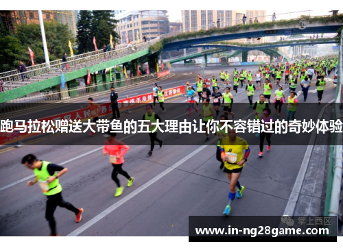 跑马拉松赠送大带鱼的五大理由让你不容错过的奇妙体验 跑马拉松赠送大带鱼的五大理由让你不容错过的奇妙体验