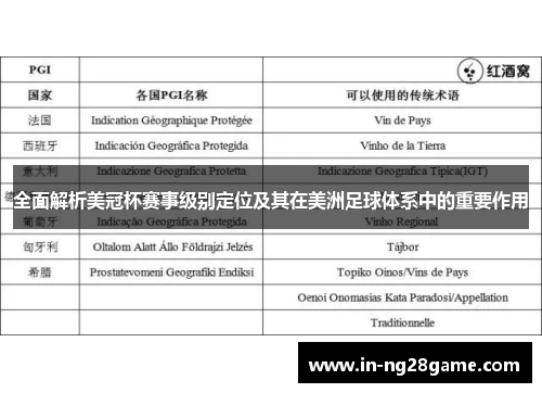 全面解析美冠杯赛事级别定位及其在美洲足球体系中的重要作用