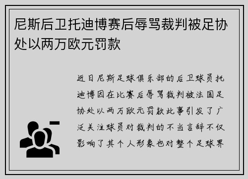 尼斯后卫托迪博赛后辱骂裁判被足协处以两万欧元罚款 尼斯后卫托迪博赛后辱骂裁判被足协处以两万欧元罚款